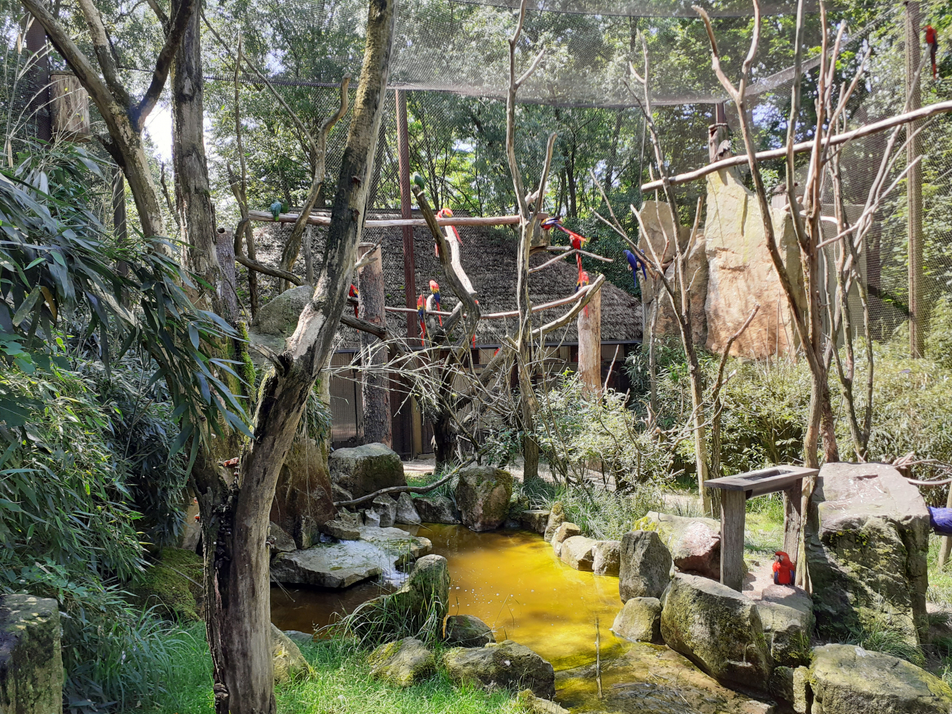 ZŠ Ke Studánce - Projekt NEOKAP