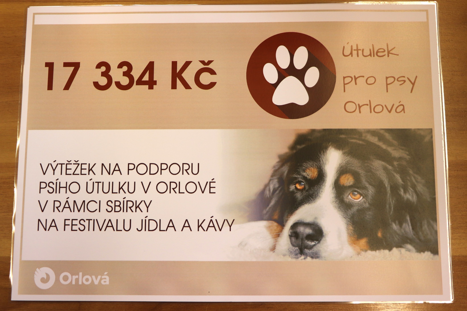BYL PŘEDÁN VÝTĚŽEK NA PODPORU PSÍHO ÚTULKU V ORLOVÉ