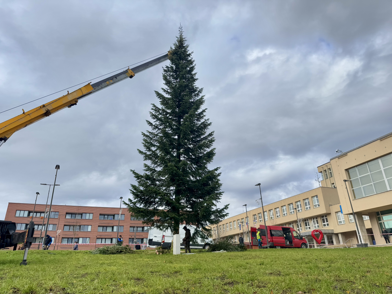JEDLE OBROVSKÁ OZDOBÍ NÁMĚSTÍ 28. ŘÍJNA