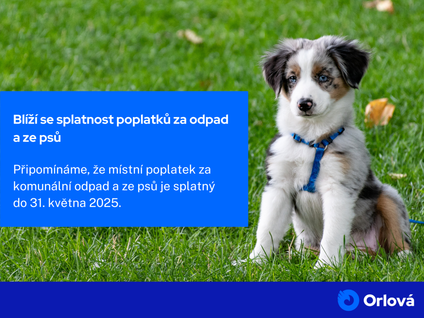 BLÍŽÍ SE SPLATNOST POPLATKŮ ZA ODPAD A ZE PSŮ