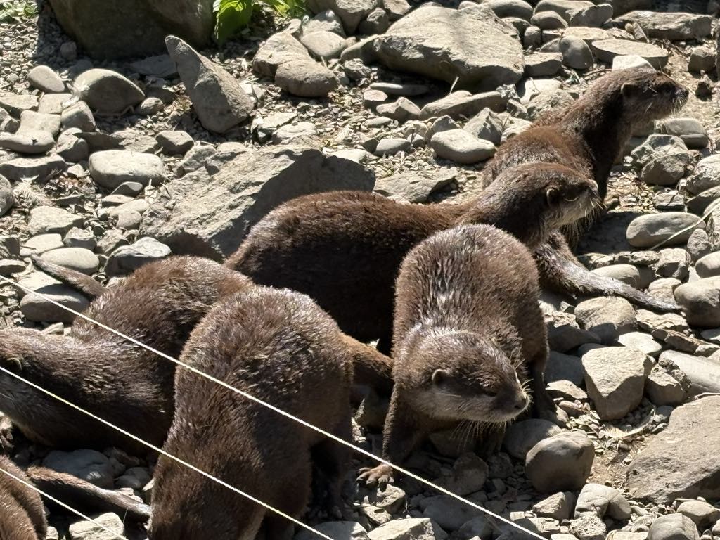 ZŠ Školní - ZOO Ostrava