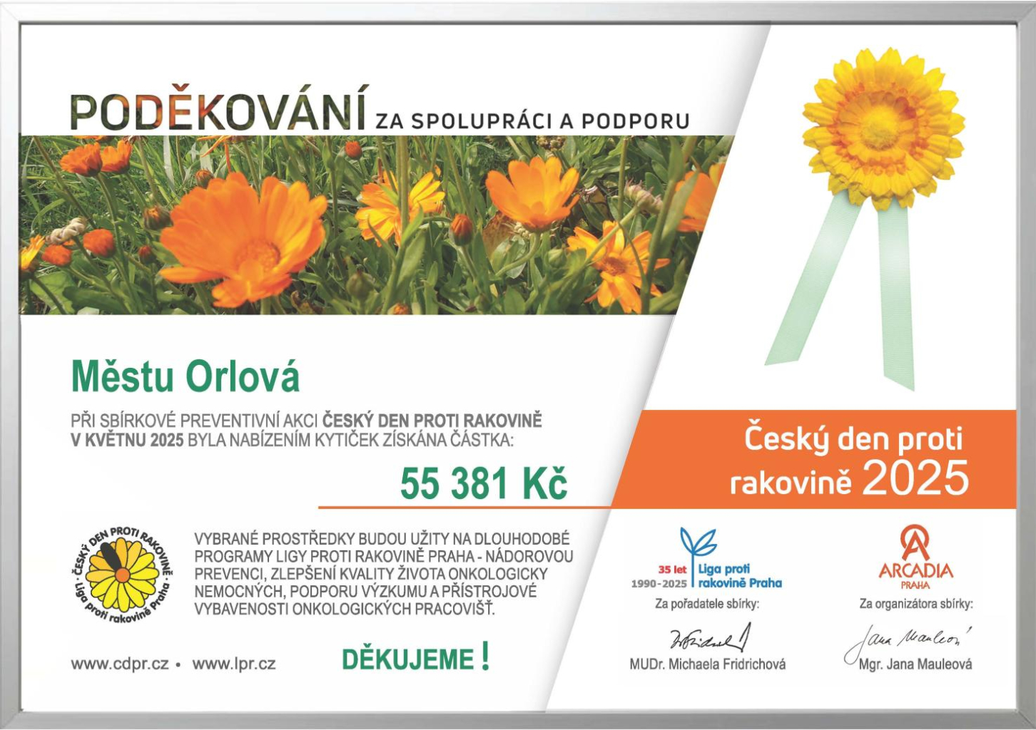 ČESKÝ DEN PROTI RAKOVINĚ 2025