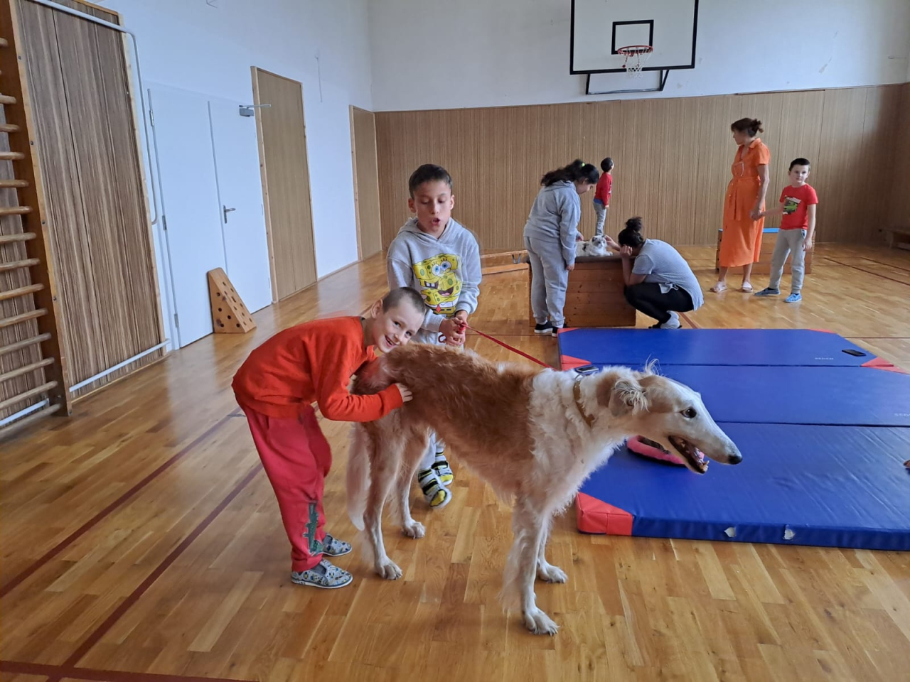 Canisterapie pro žáky ZŠ Jarní