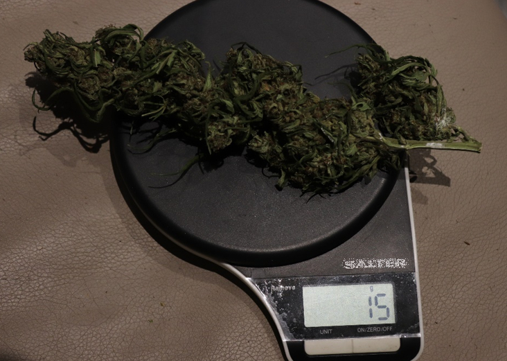 KRIMINALISTÉ ZADRŽELI DVA MÍSTNÍ DEALERY DROG