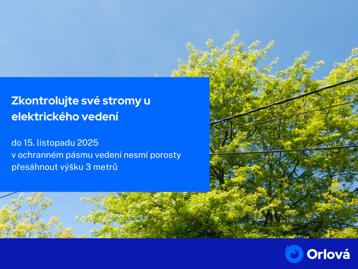 ZKONTROLUJTE SVÉ STROMY U ELEKTRICKÉHO VEDENÍ