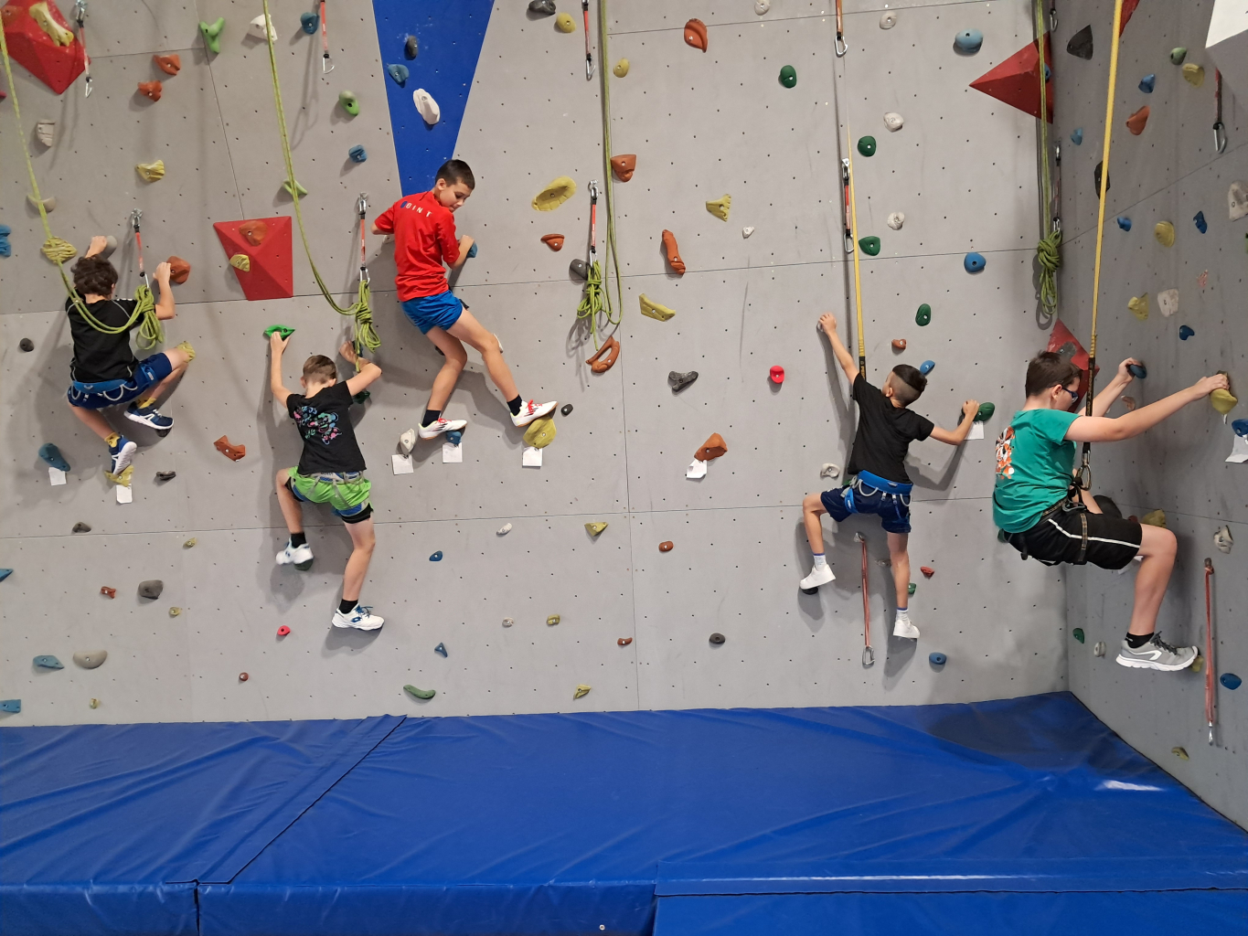 Žáci ZŠ Školní lezou až na vrchol – nová lezecká stěna oživila hodiny tělesné výchovy