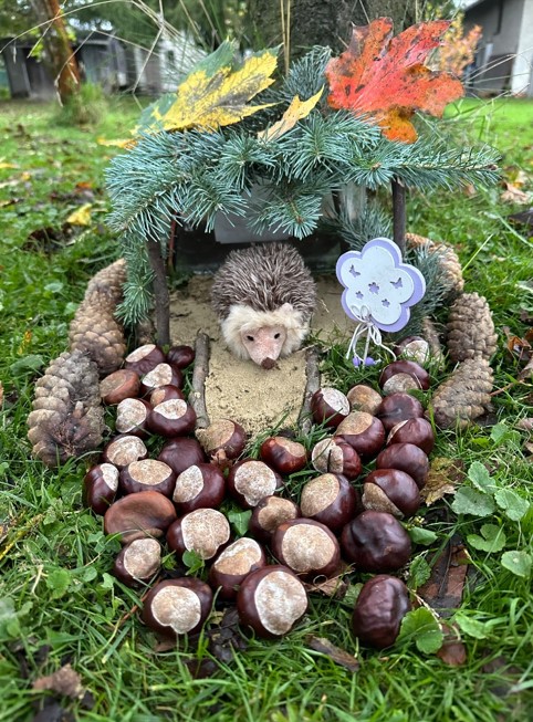 Jak si děti ze třídy „Ježečci“ MŠ Lesní s rodiči užily podzimní přírodu