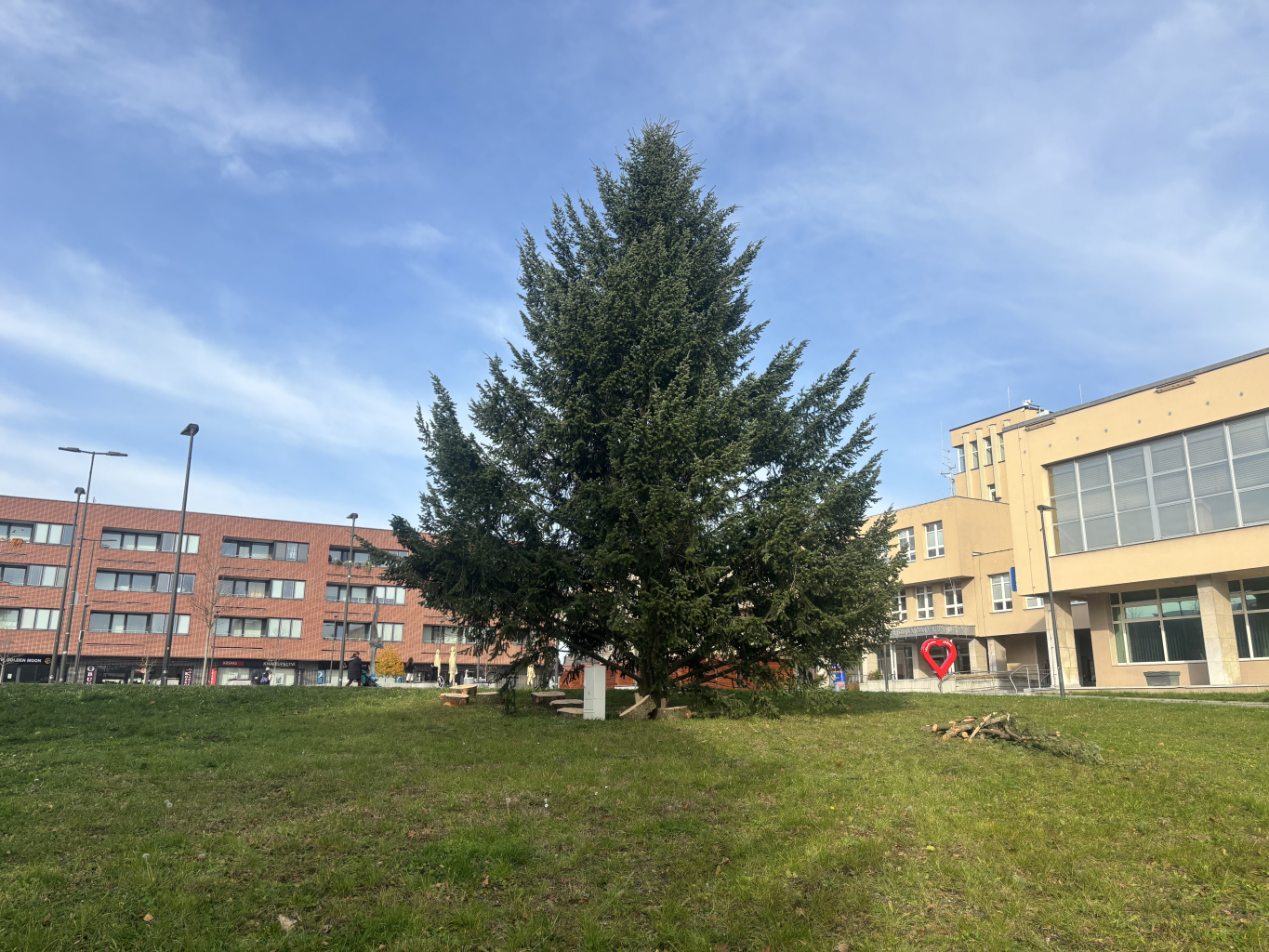 NAD NÁMĚSTÍM SE TYČÍ VÁNOČNÍ JEDLOVEC S PŘÍBĚHEM