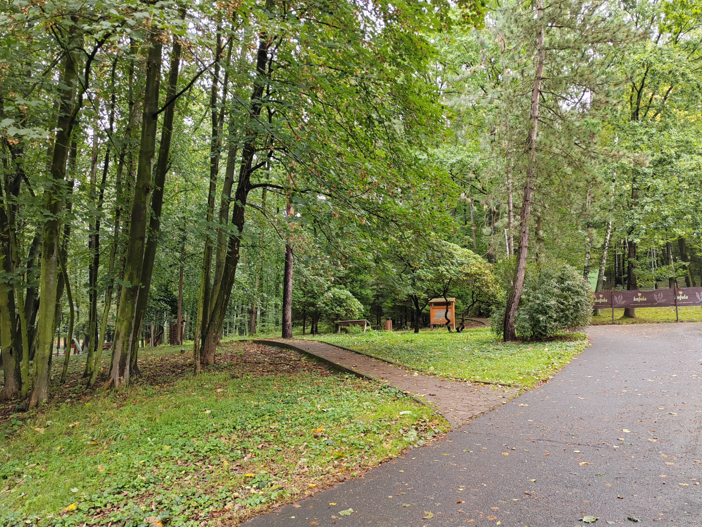 LESOPARK PROJDE REVITALIZACÍ