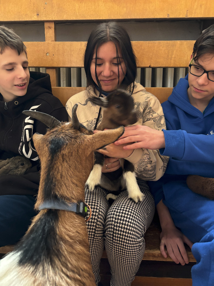 Žáci ze ZŠ Jarní se těšili z další canisterapie