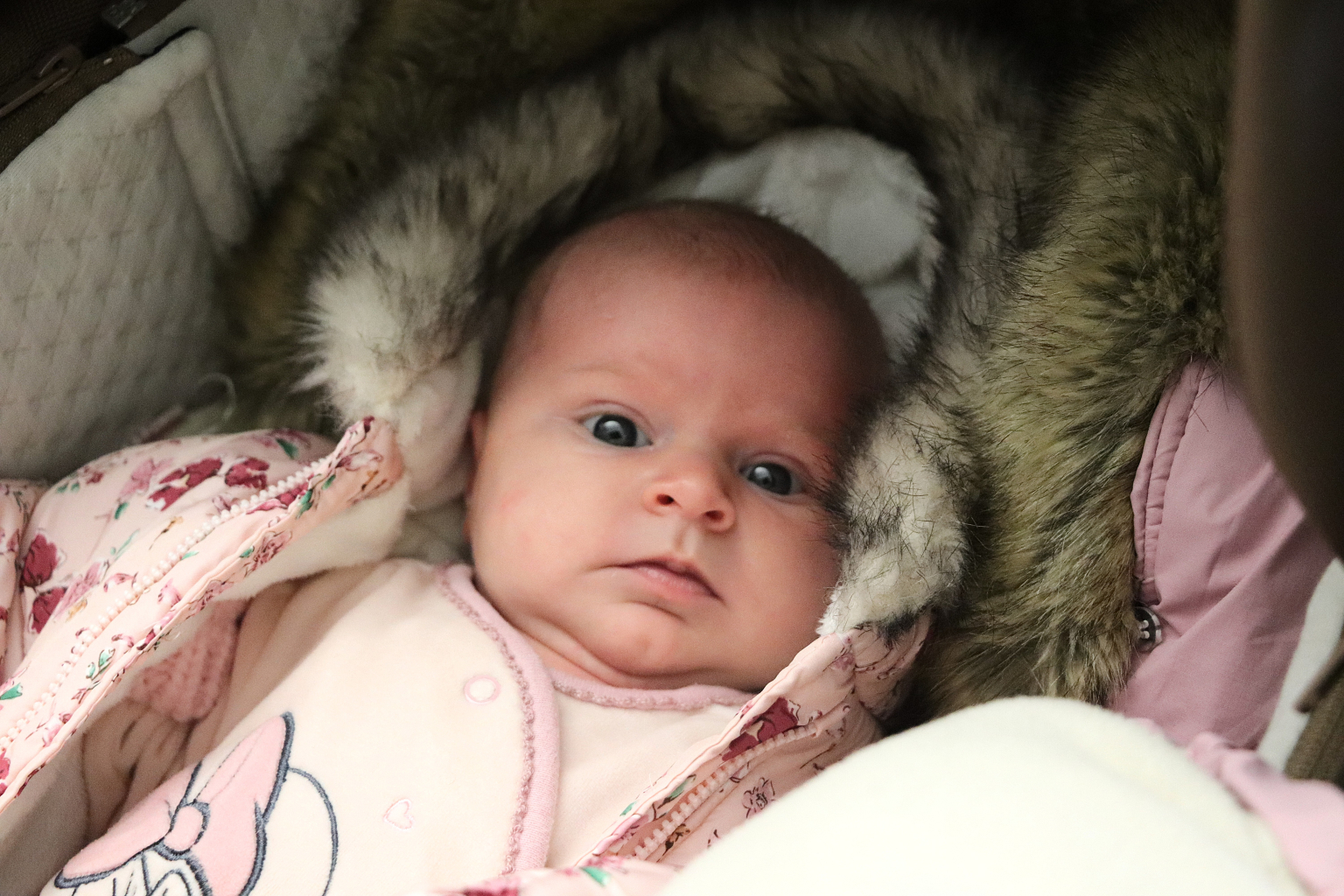 PRVNÍM ORLOVSKÝM MIMINKEM ROKU 2026 JE STELLA