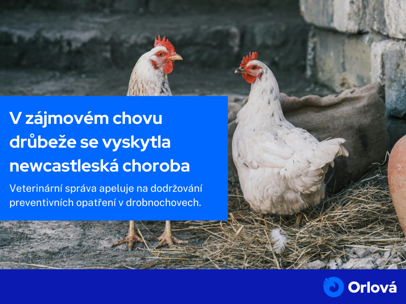 KRAJSKÁ VETERINÁRNÍ SPRÁVA UPOZORŇUJE CHOVATELE