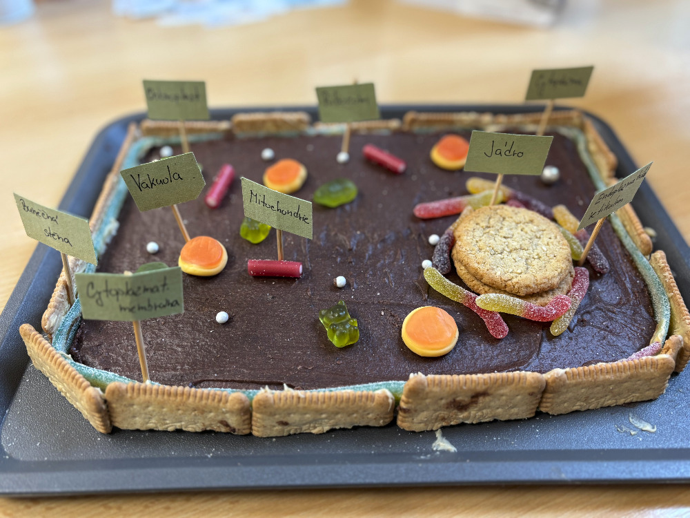 Sladká biologie na ZŠ Jarní aneb když se buňka dá ochutnat