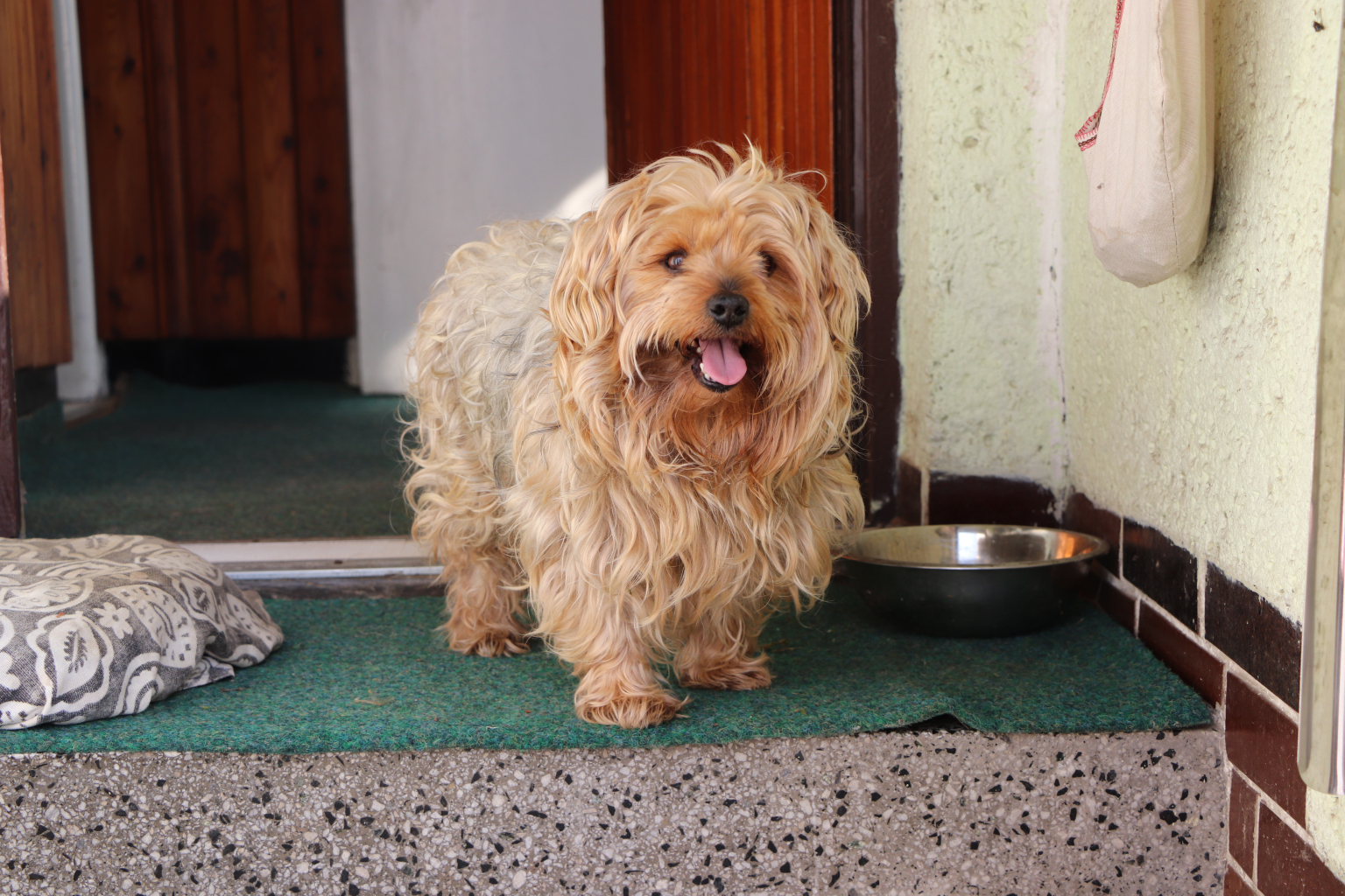 SENIORKA Z RYCHVALDU DAROVALA ÚTULKU PADESÁT TISÍC