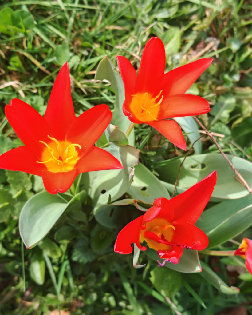 Předmět pracovní činnosti na Studánce