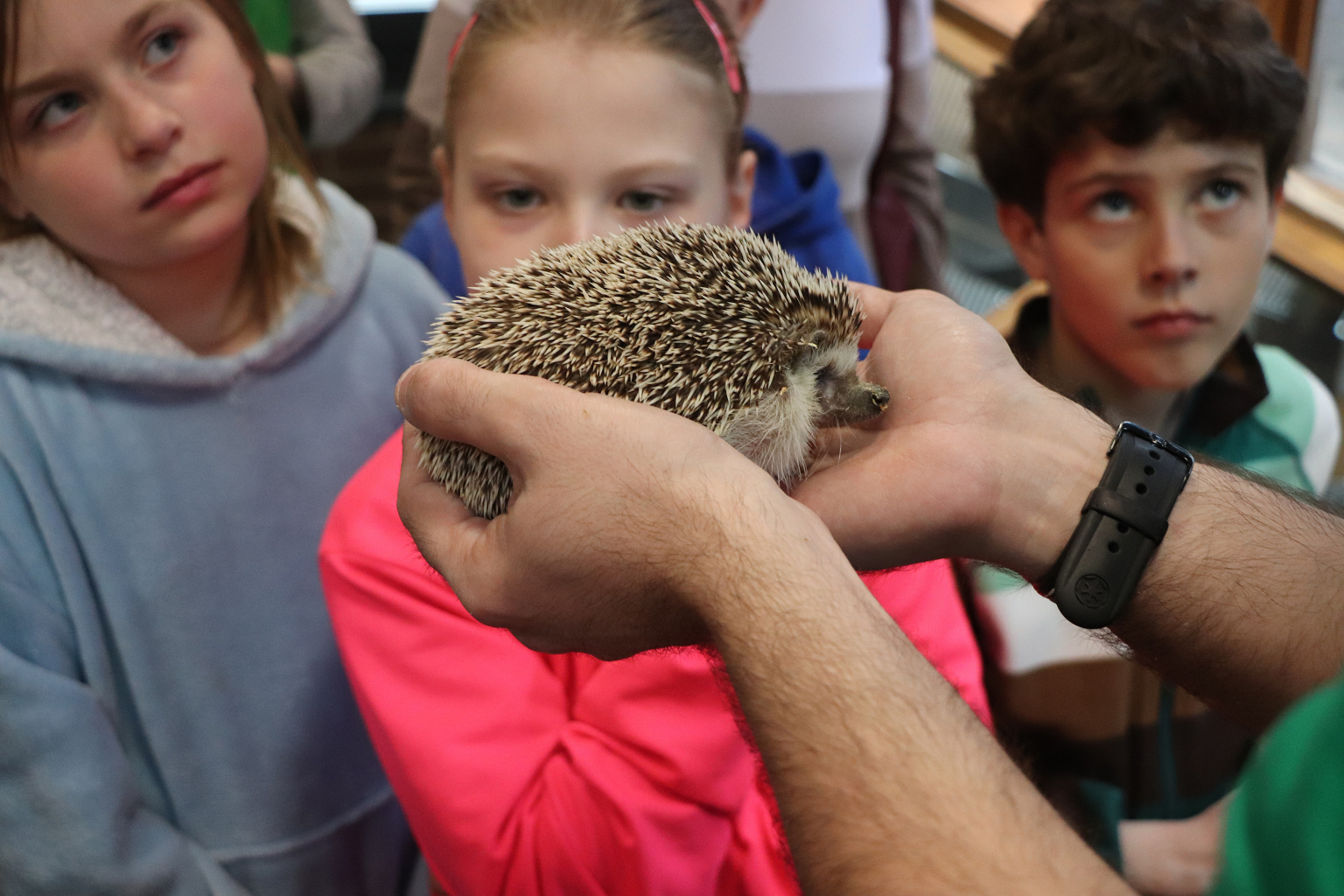 DŮM DĚTÍ A MLÁDEŽE POŘÁDÁ TRADIČNÍ DEN ZEMĚ