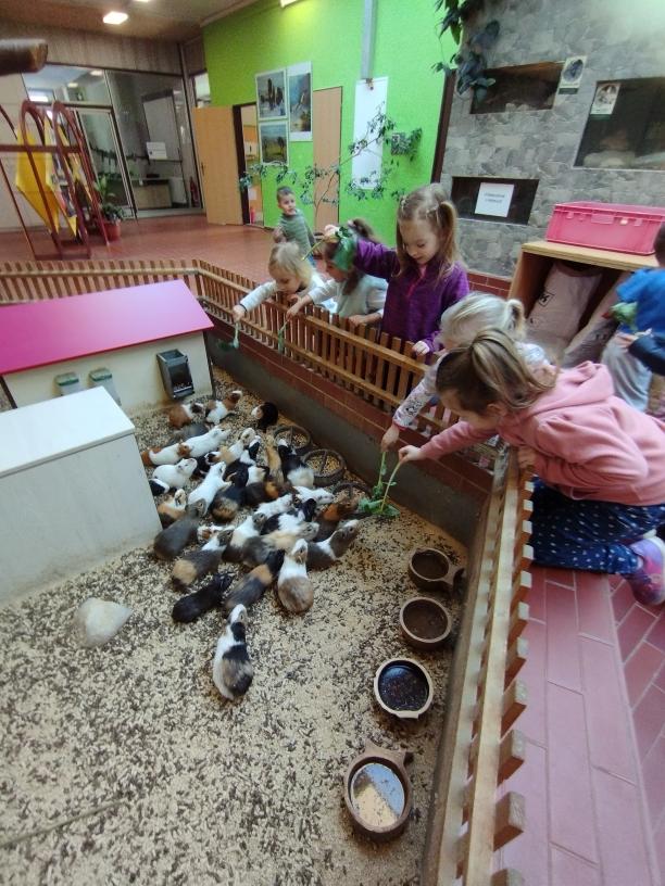 MŠ Lesní - Naše nejmladší děti navštívily Dům dětí a mládeže