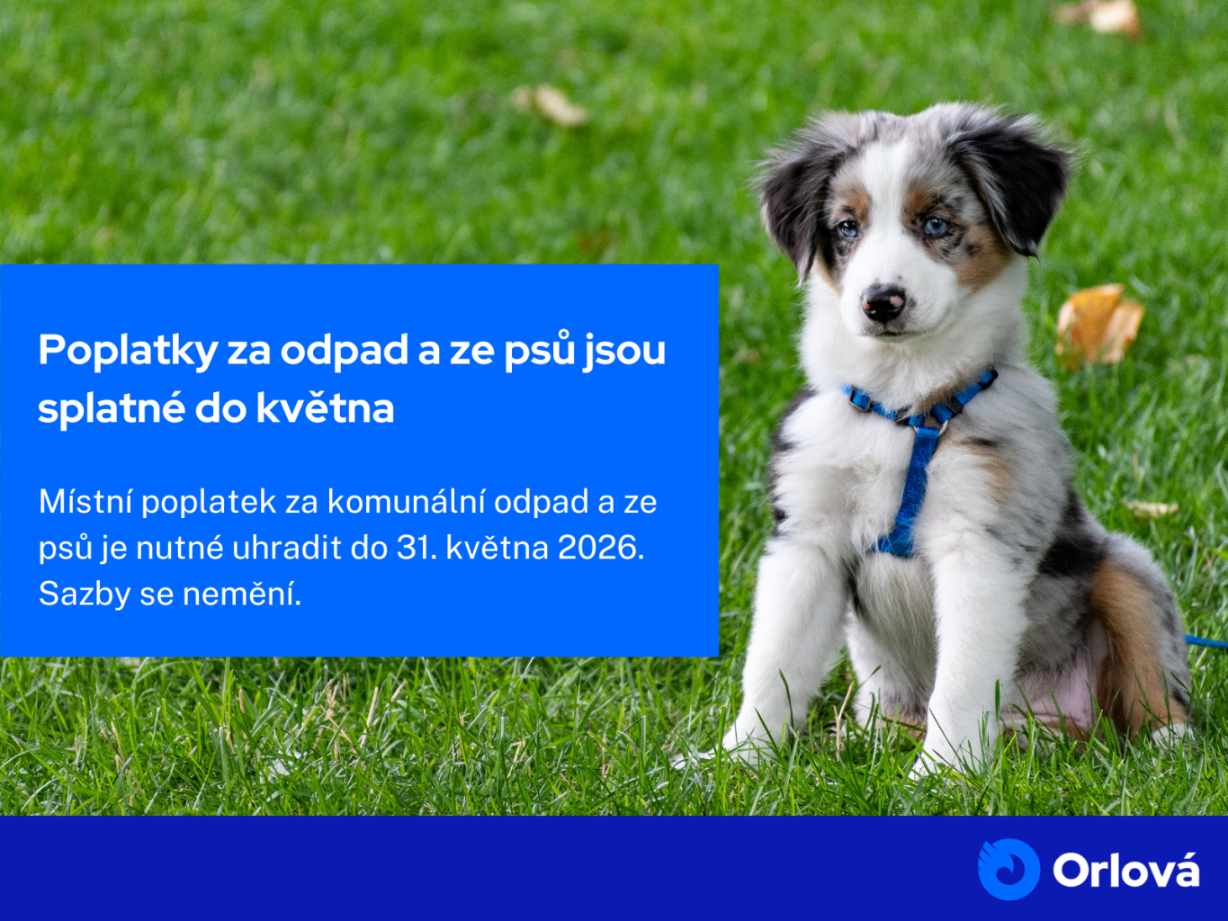 POPLATKY ZA ODPAD A ZE PSŮ JSOU SPLATNÉ DO KVĚTNA