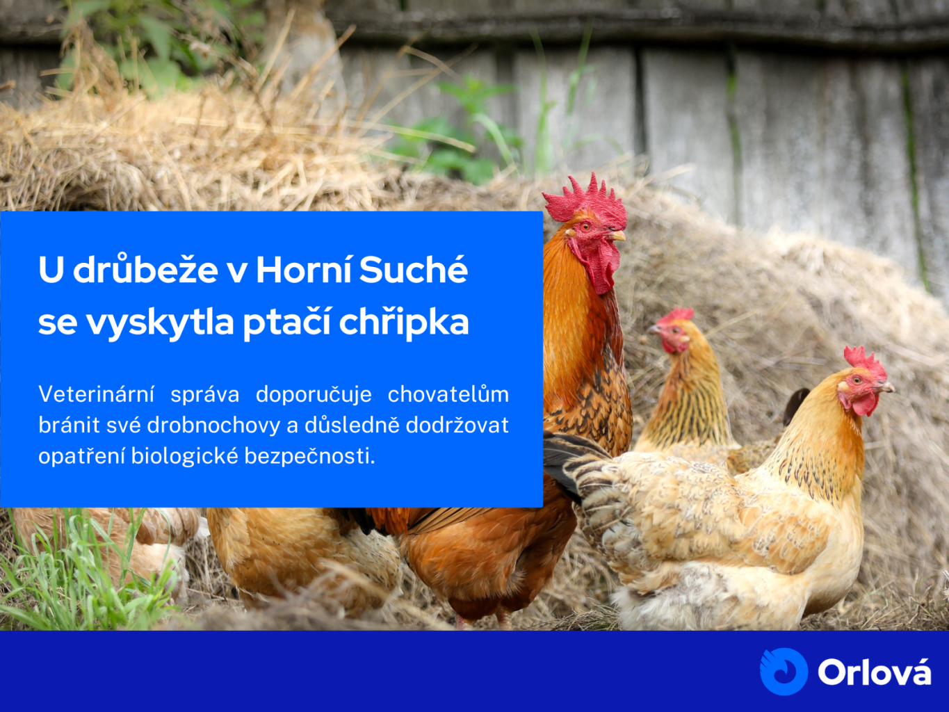U DRŮBEŽE V HORNÍ SUCHÉ SE VYSKYTLA NEWCASTELSKÁ CHOROBA