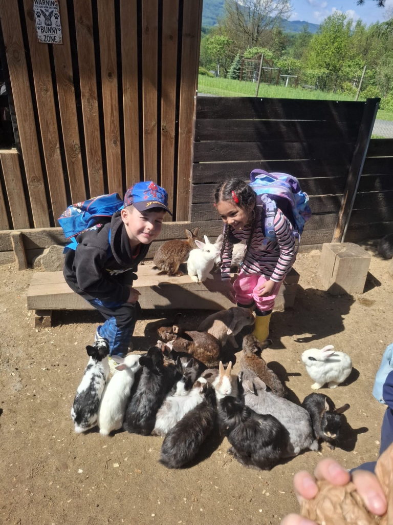 MŠ Husova - Den plný radosti a objevování v mini zoo ve Vendryni
