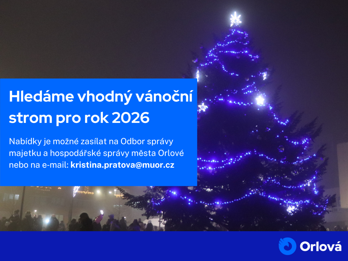 HLEDÁME VHODNÝ VÁNOČNÍ STROM PRO ROK 2026