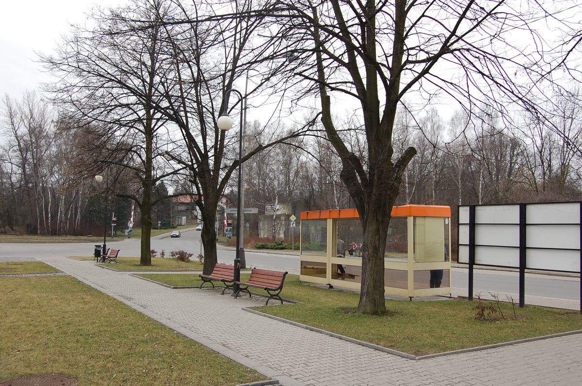 Na Starém náměstí v Orlové-Městě se vykácejí dvě nemocné lípy
