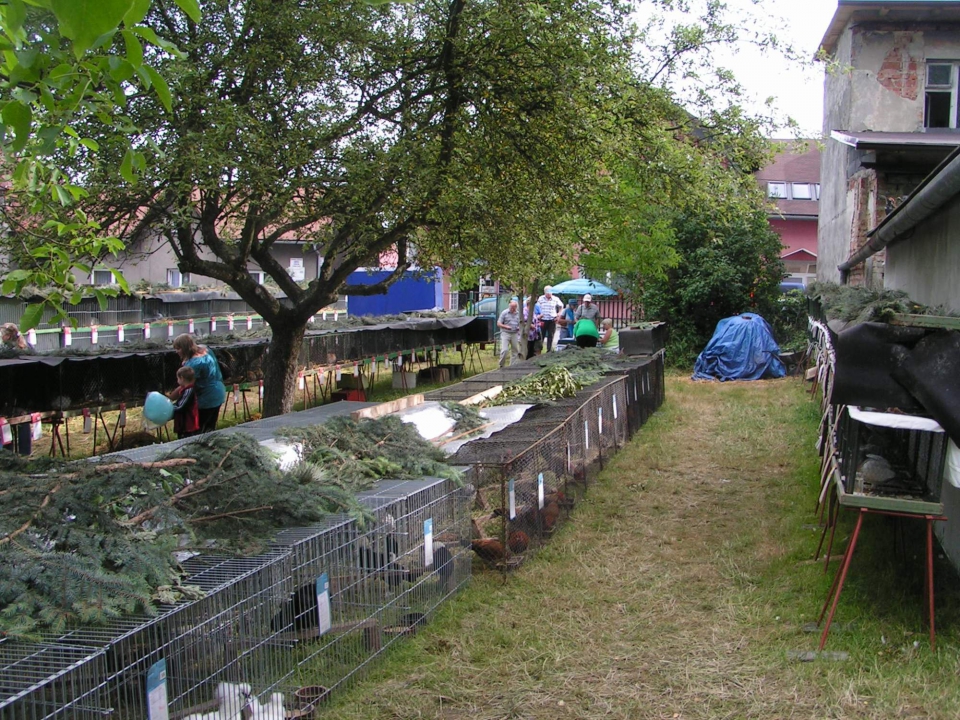 Český svaz chovatelů, z.s., Základní organizace Orlová-Poruba