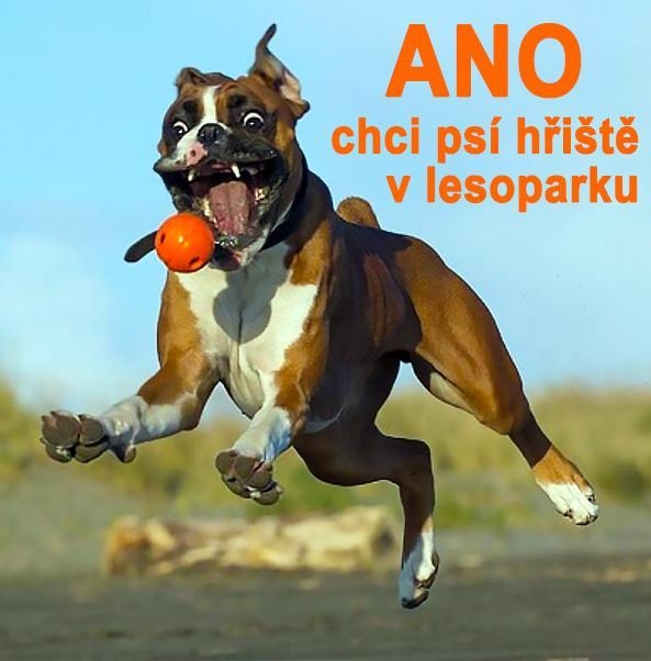 Psí hřiště 