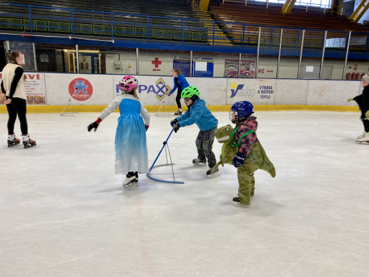 KARNEVAL DDM NA LEDĚ 2022 