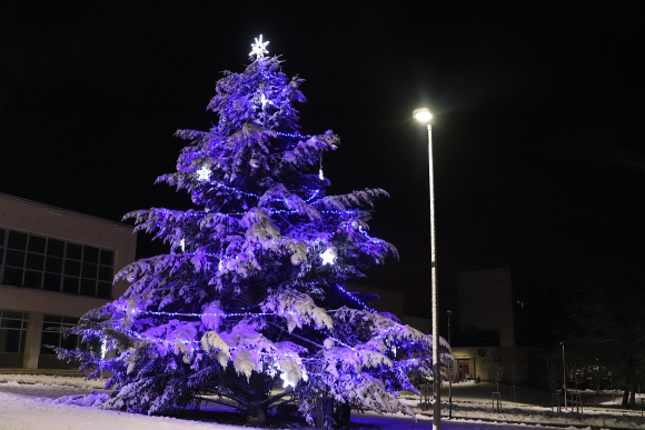 ROZSVĚCENÍ VÁNOČNÍHO STROMU 2025 