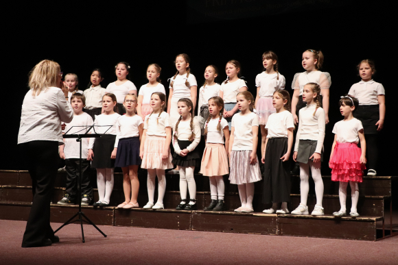 KRAJSKÁ PŘEHLÍDKA DPS PRIMACHORI 2026 