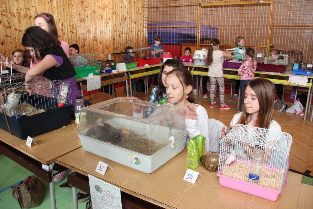 Den země na ZŠ Studánka 
