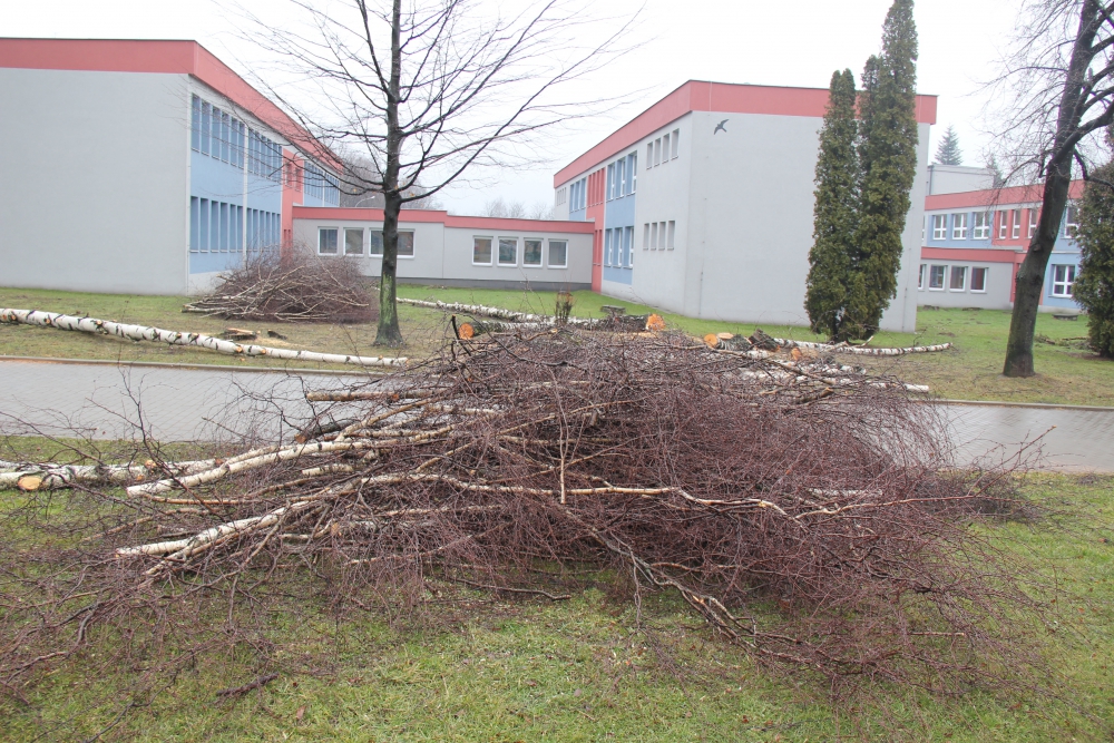 Revitalizace zeleně v Orlové-Porubě 