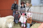 15. 12. 2009 - Vánoční jarmark (foto: Richard Kutěj) 