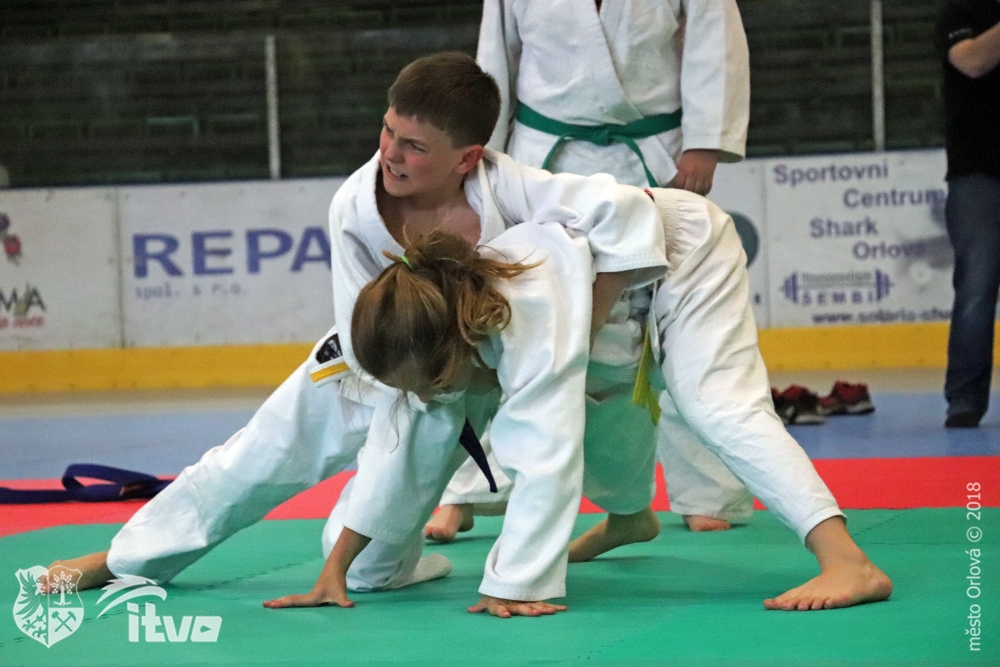 Judo - Turnaj přípravek 